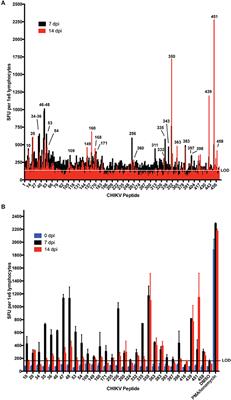 Vaccine-Induced Skewing of T Cell Responses Protects Against Chikungunya Virus Disease